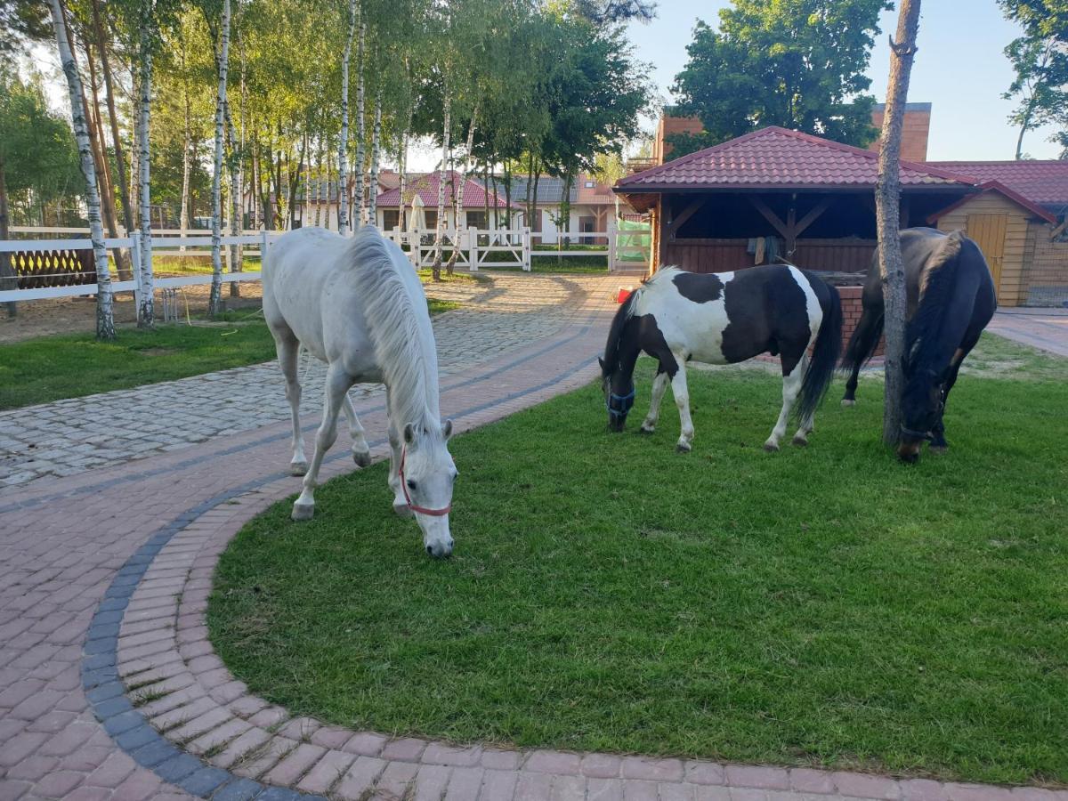 Osrodek Agroturystyczny Zacisze Villa Giewartów Dış mekan fotoğraf