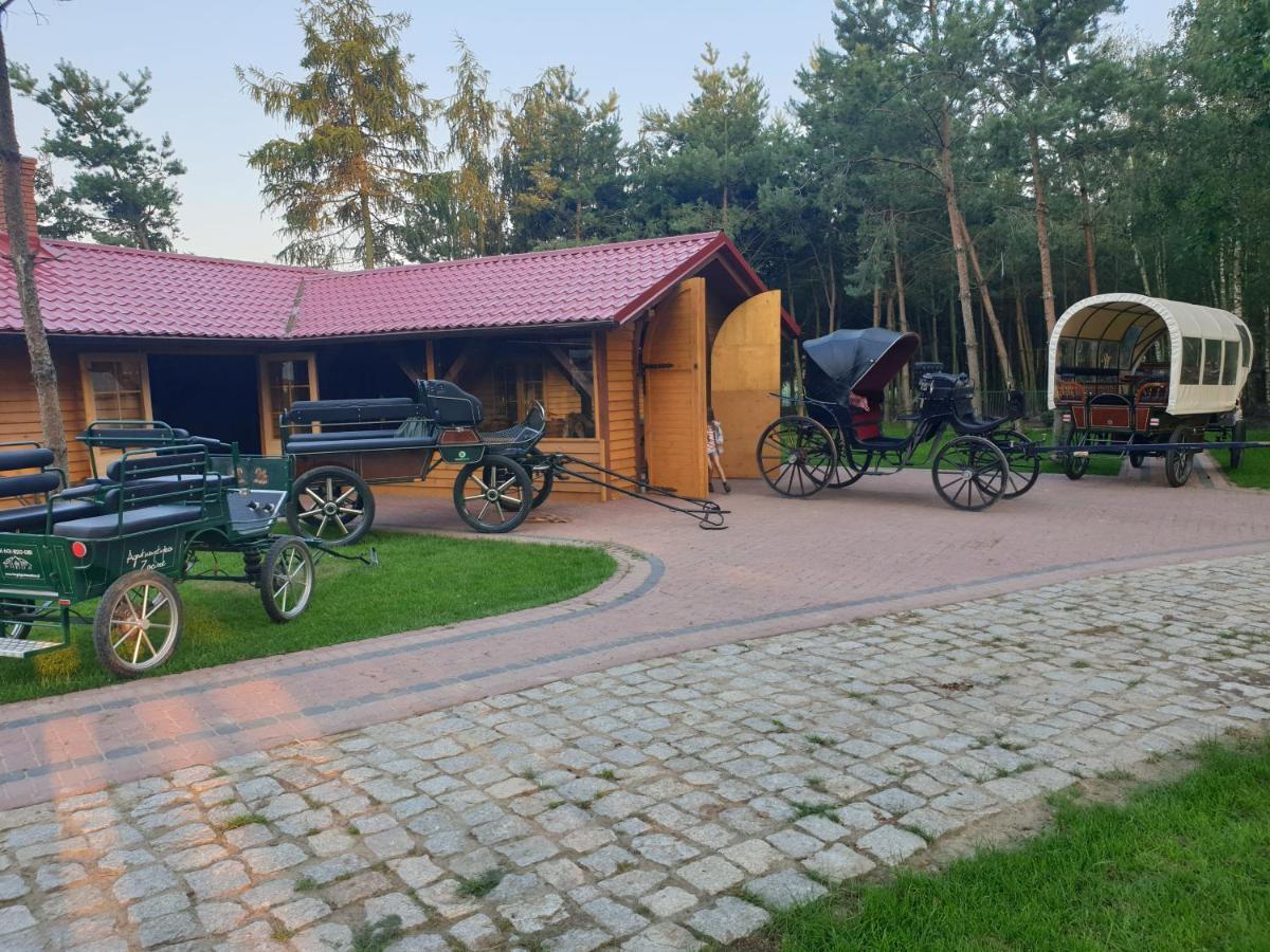 Osrodek Agroturystyczny Zacisze Villa Giewartów Dış mekan fotoğraf