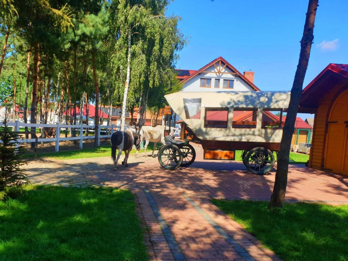 Osrodek Agroturystyczny Zacisze Villa Giewartów Dış mekan fotoğraf